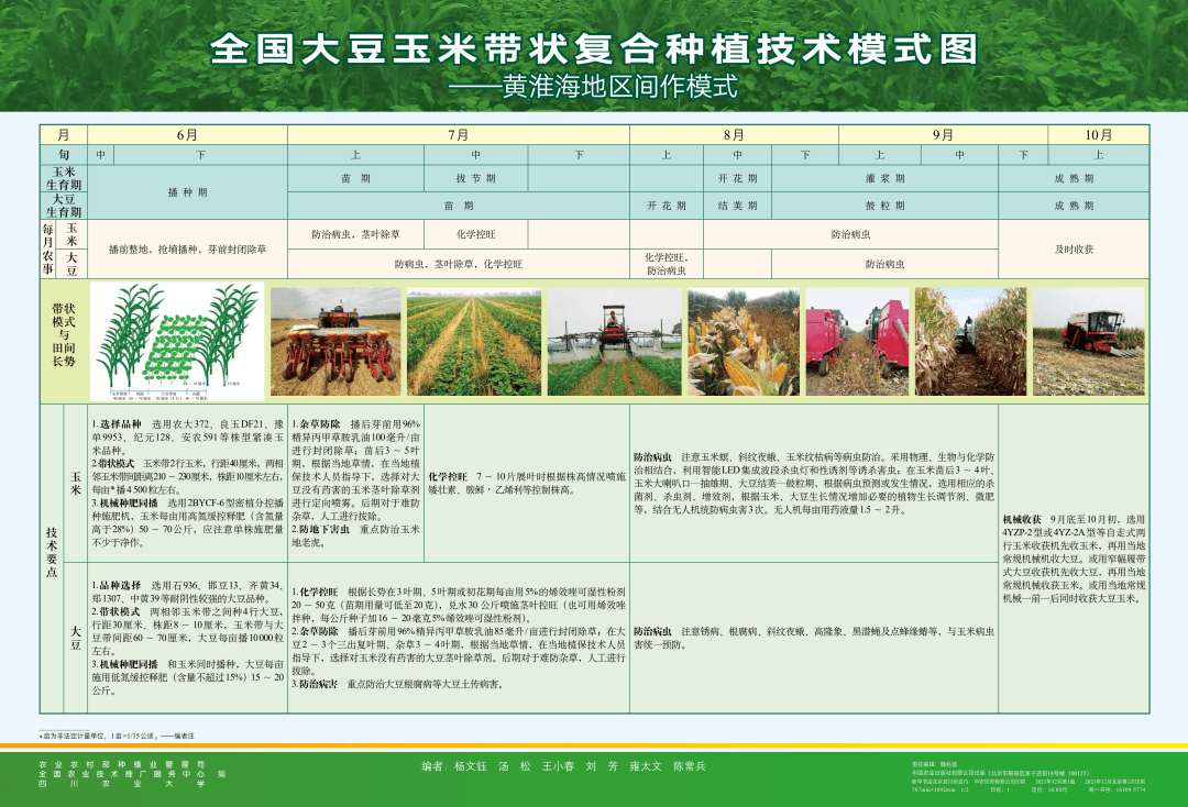 重磅消息大豆玉米带状复合种植指南发布