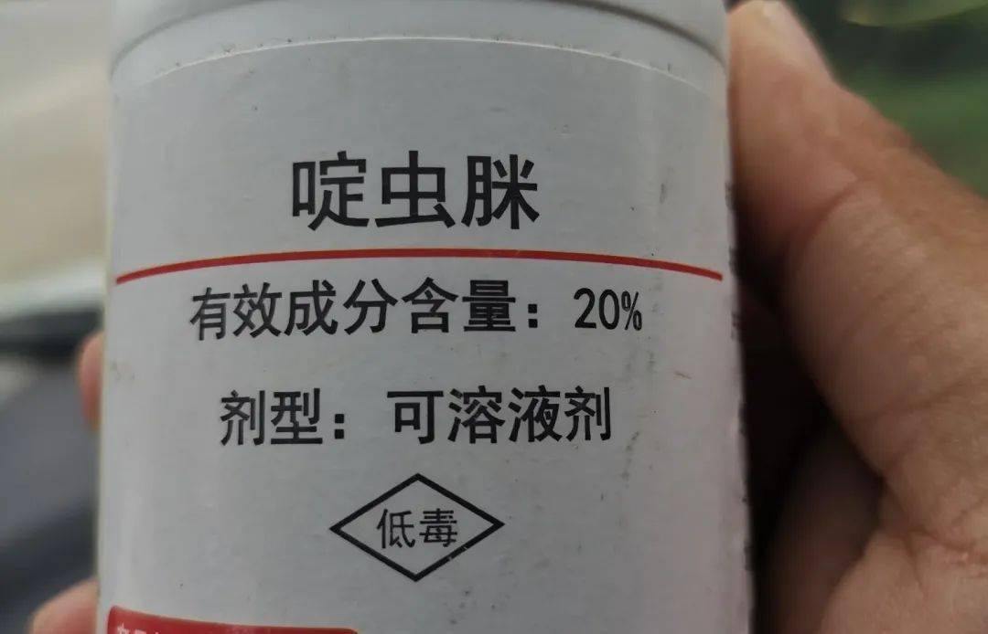 记住啶虫脒别单用和这些药剂搭配前打后落管的时间长