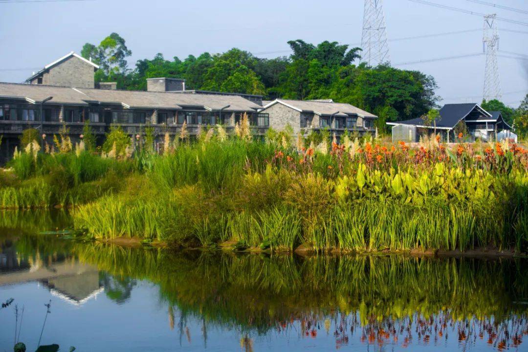 "水美乡村,天府新区ta们上榜_南新村_景观_社区