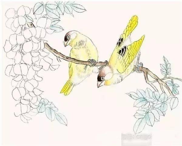 工笔画芙蓉鸟的绘画入门步骤详解