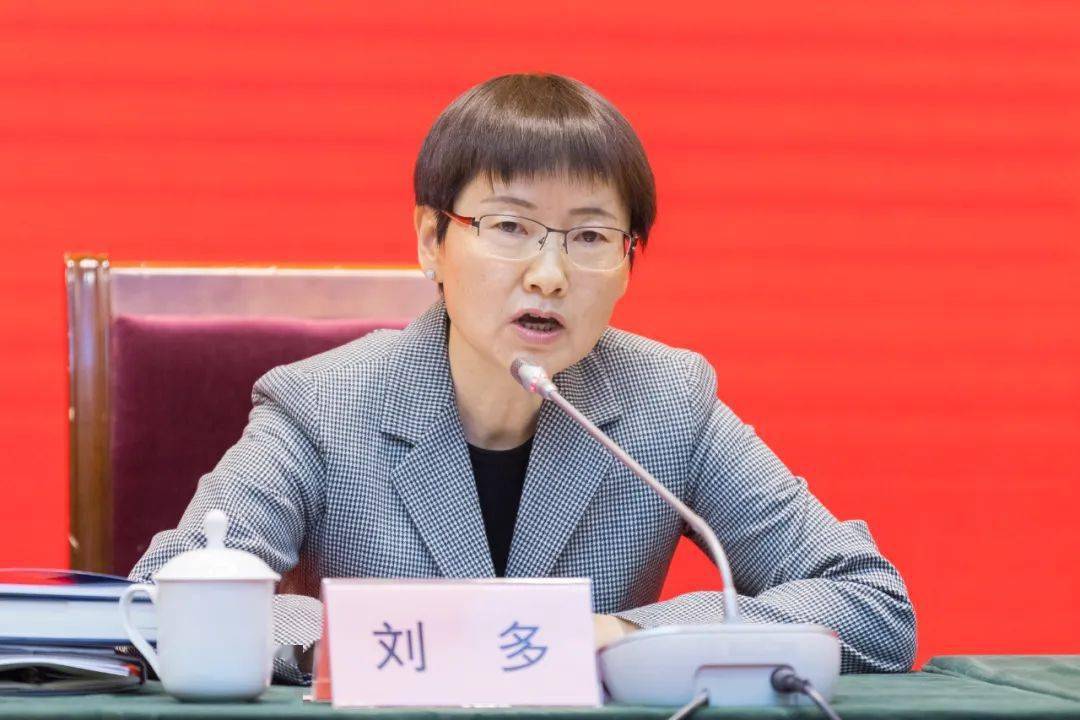 副市长刘多讲话市政府副秘书长陈鸣波主持会议会议指出,过去一年上海