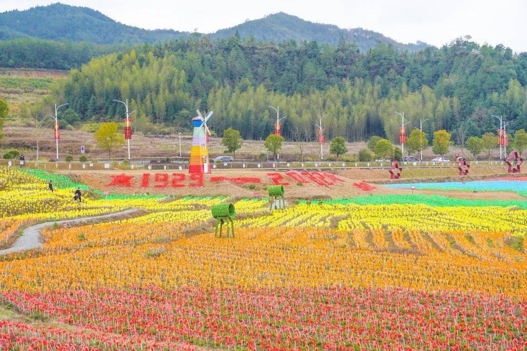 古田花海欢乐谷钜惠套票持续放送中一票玩转百万七彩风车节