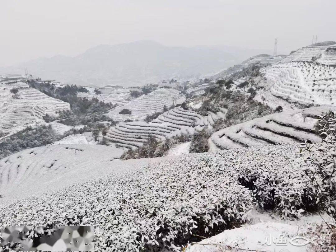 回温时间就在._军营村_寿宁_天气