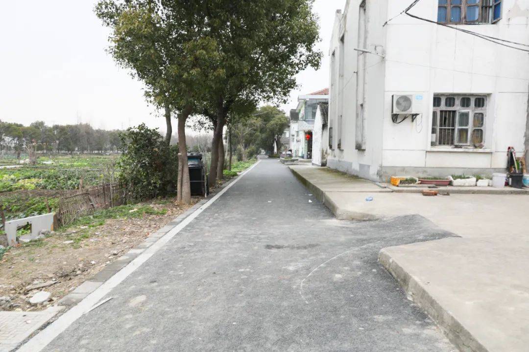 新浜村党总支书记林立艺告诉记者,这条道路是去年翻修的,此外,村里还