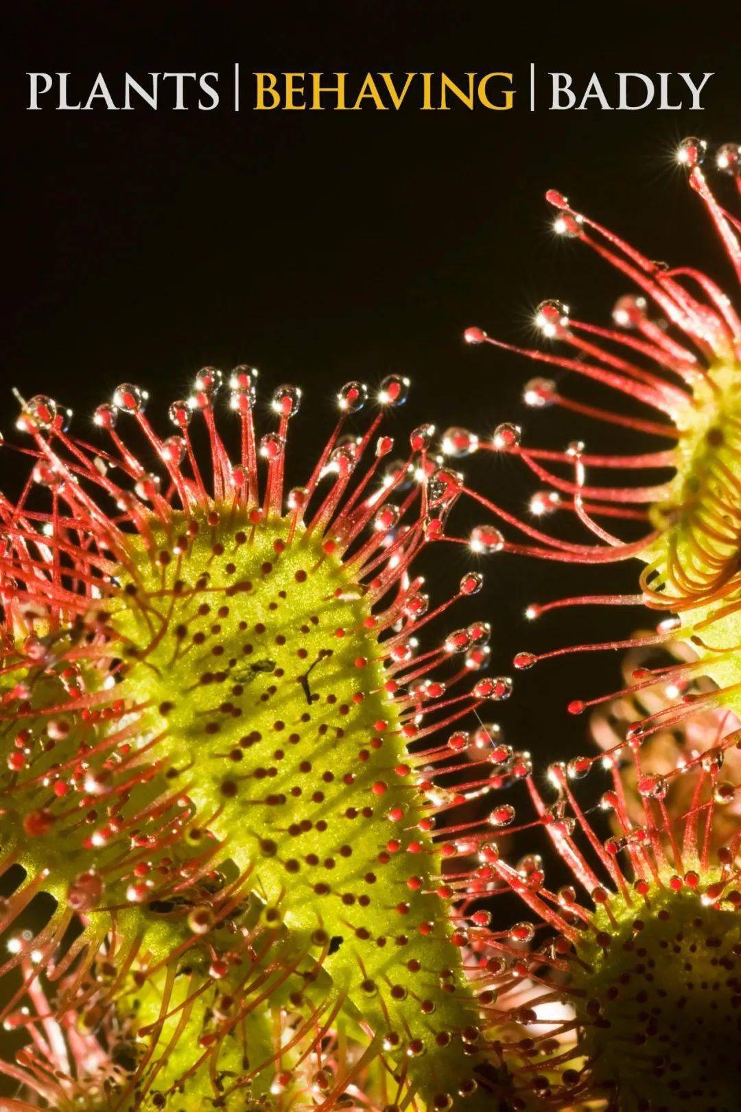 8分的植物纪录片,每一帧都惊艳!_世界_星球_大卫爱登堡
