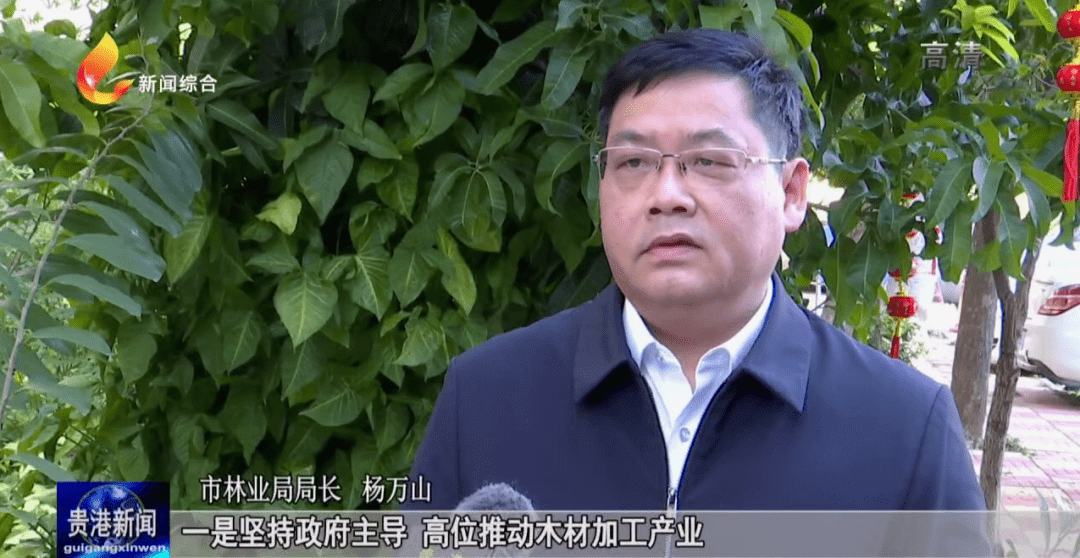 市林业局局长 杨万山:一是坚持政府主导,高位推动木材加工产业.