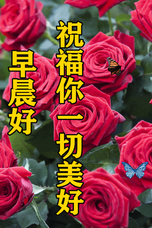 3月1日最漂亮早上好动态表情图片及早晨好动图美图大全嘴上不积德最终
