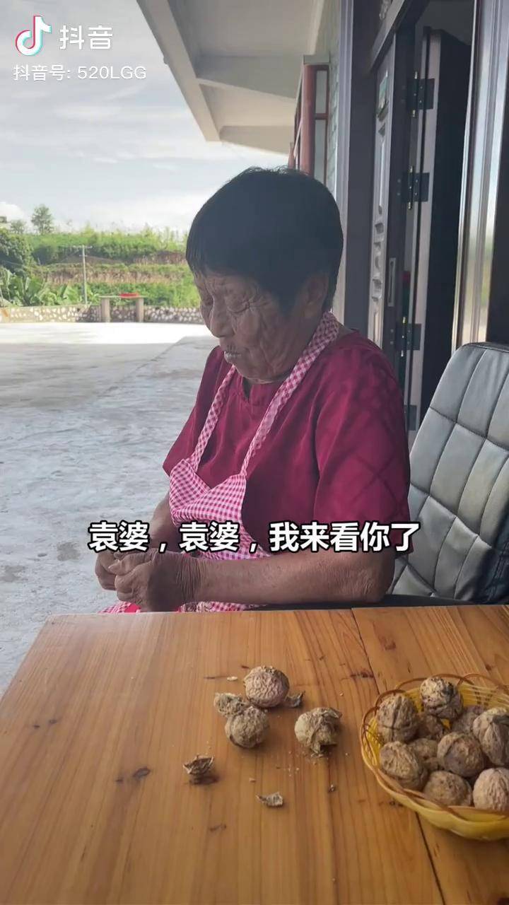 袁婆是你自己要见的我可没逼你