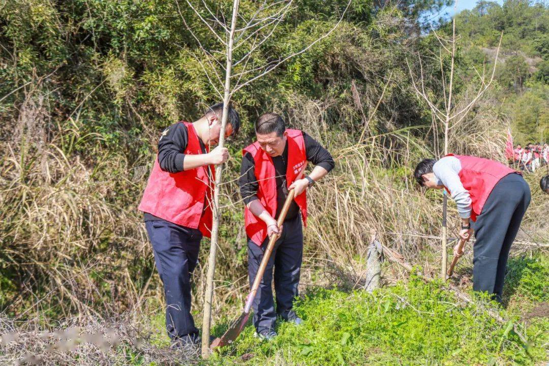 壶镇镇植树节为绿水青山充植