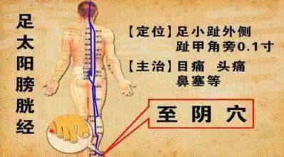 原来是这里堵了!_大腿_经络_肝胆