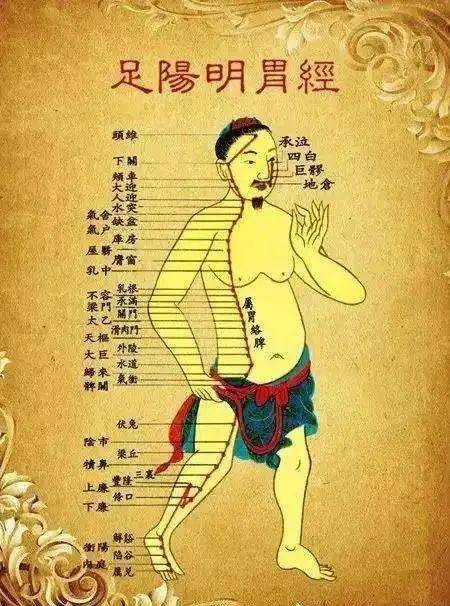 原来是这里堵了!_大腿_经络_肝胆