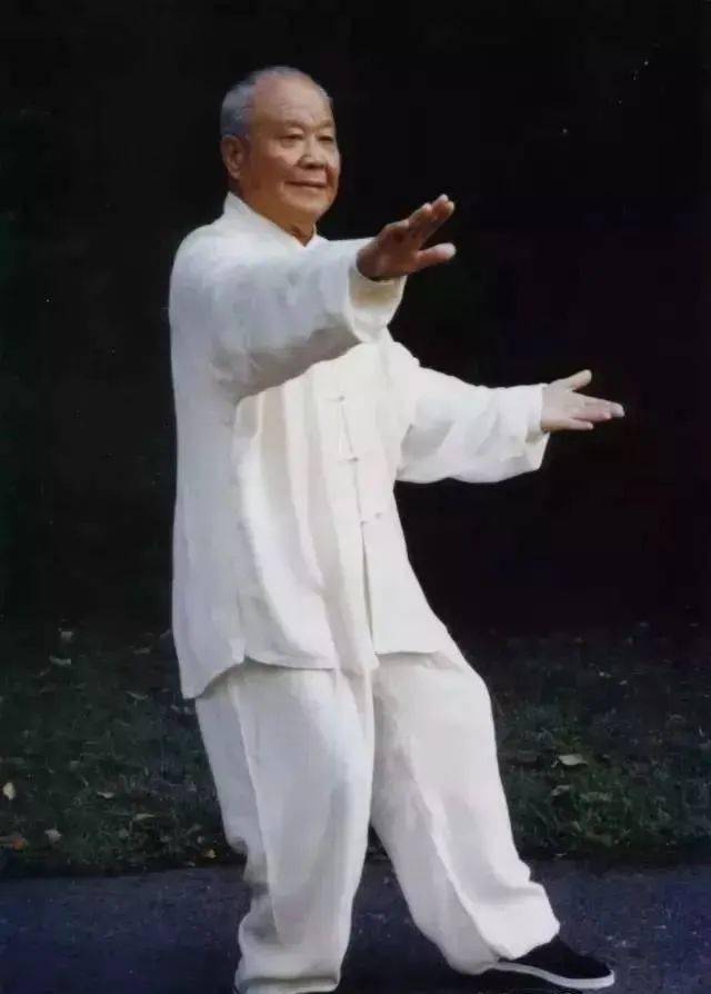 杨氏太极拳练习过程中的七阶及两误