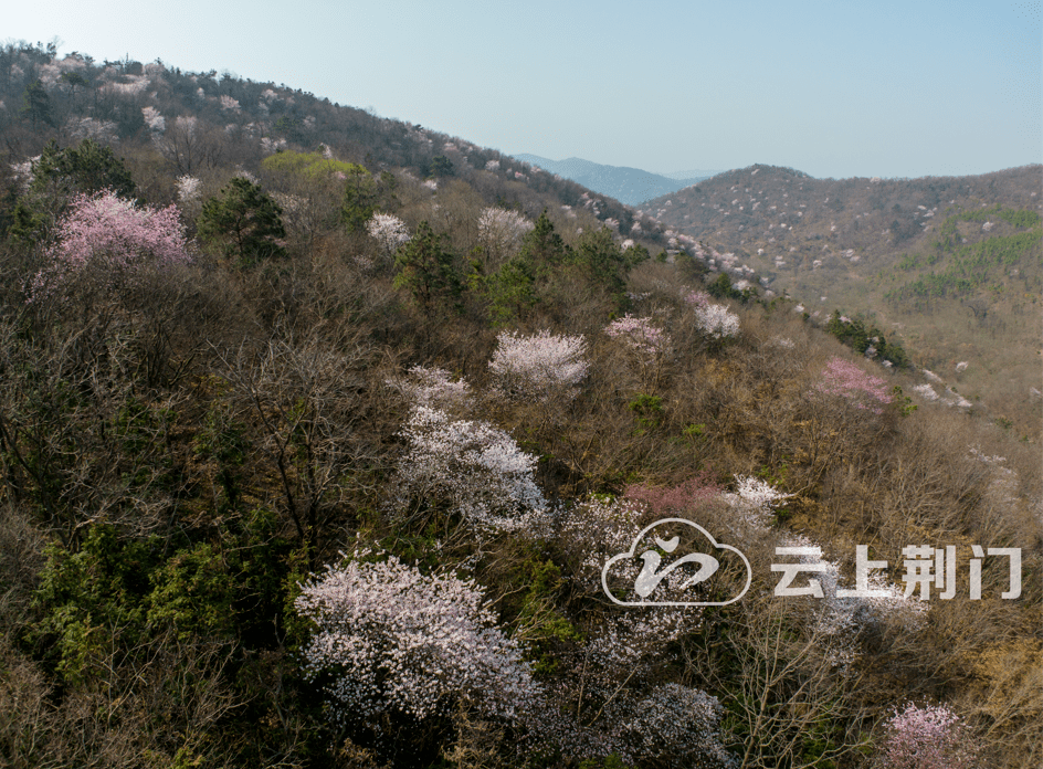 栗溪镇_东宝区_乡村