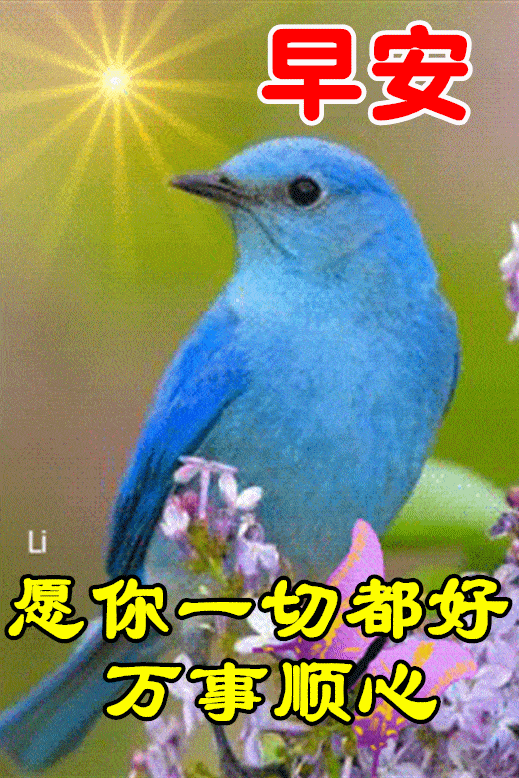 519_778竖版 竖屏gif 动态图 动图