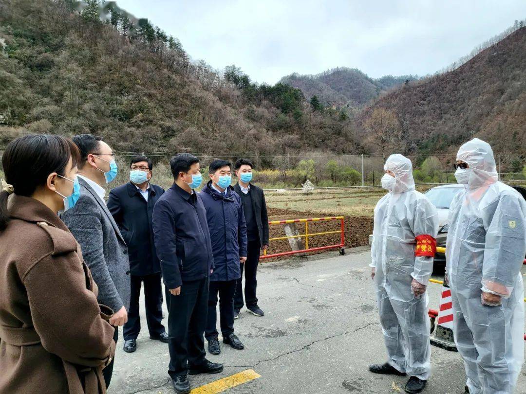 县委书记张建科调研指导太白河镇,王家堎镇疫情防控及当前重点工作