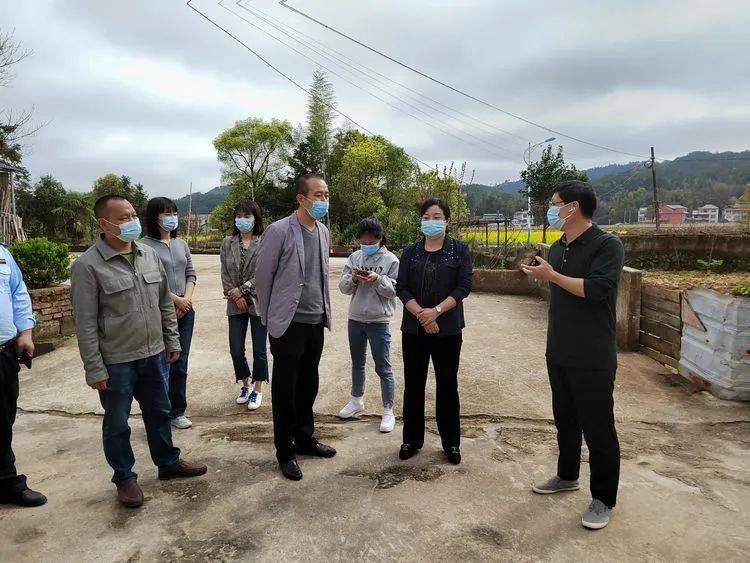 "下沉"挂点乡镇!县四套班子领导对全县这些工作进行督导!