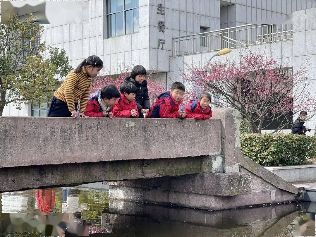 又一波甬城校园春景来袭_幼儿园_小学_海曙