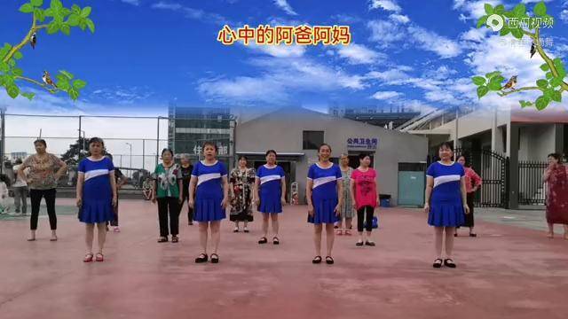 团队广场舞心中的阿爸阿妈草原抒情歌曲优美民族舞蹈好看