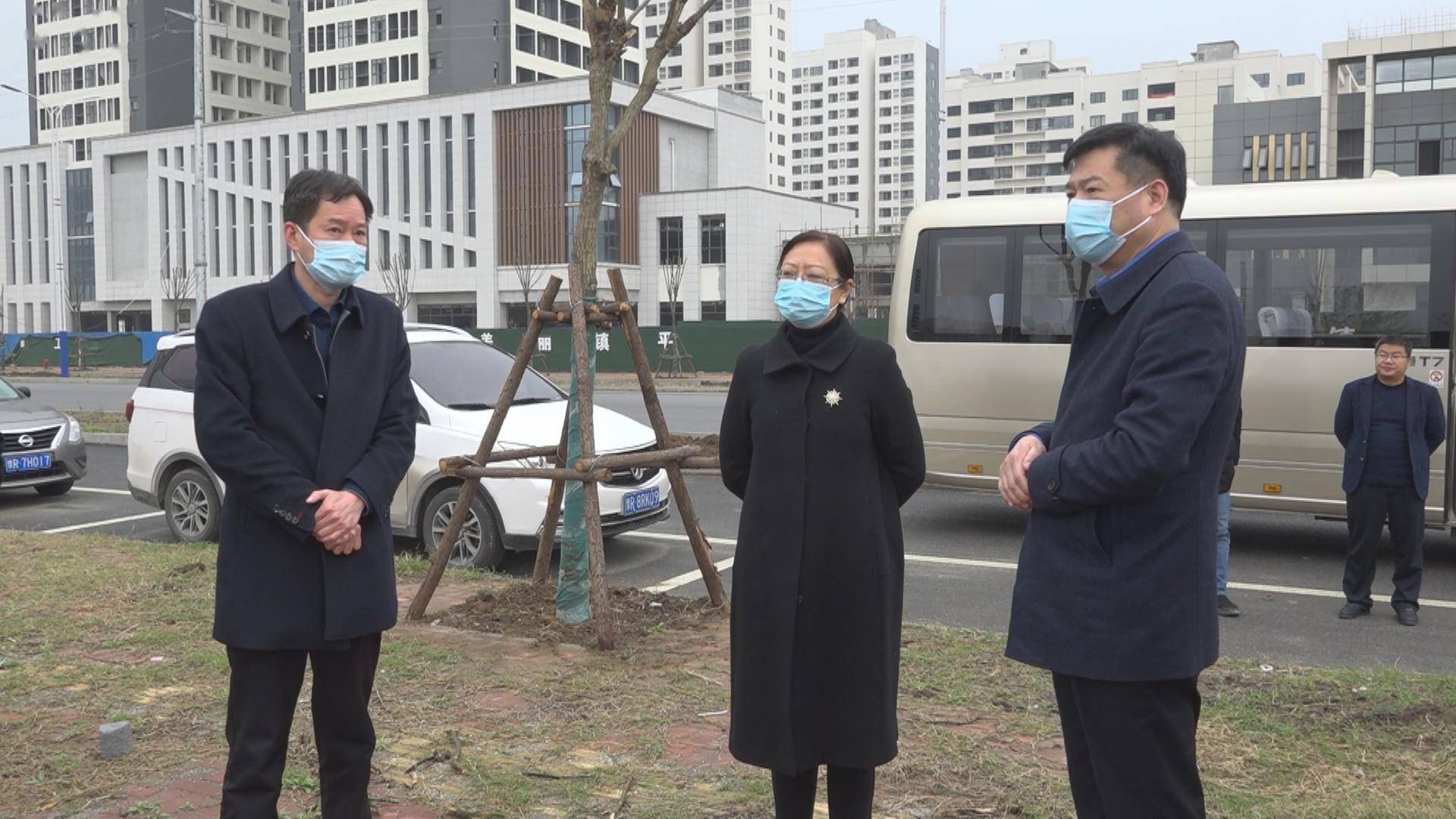 镇平县长黄静一线现场办公忙