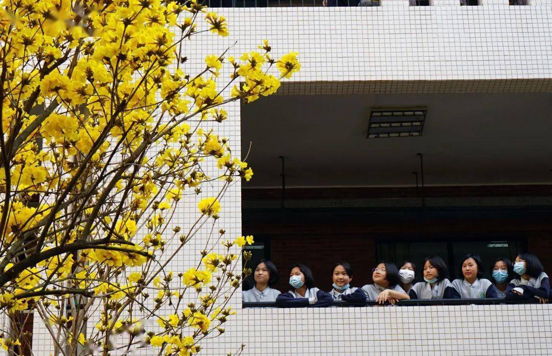 佛山这些校花醉人眼,你pick哪个?_顺德区_校园_学子