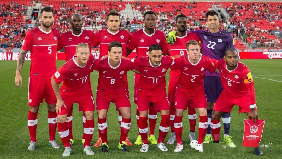 卡塔尔杯哈维红牌_卡塔尔世界杯加拿大_世界魔方排名加拿大选手