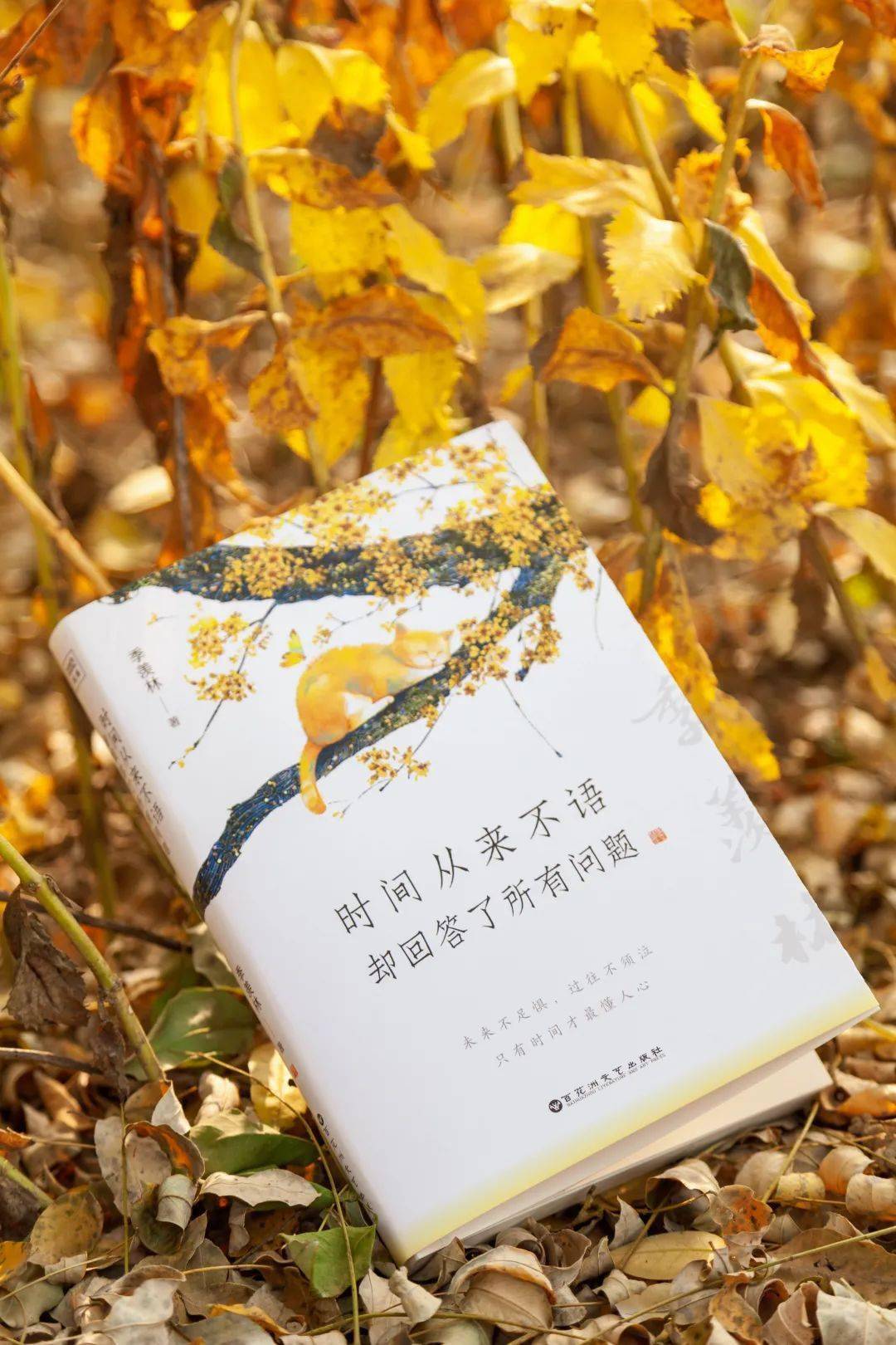 本文节选自季羡林新书《时间从来不语,却回答了所有问题》作者简介