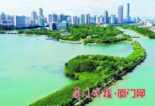 河(湖)长日,当天下午,厦门市筼箉湖保护中心组织开展"同心共护红树林