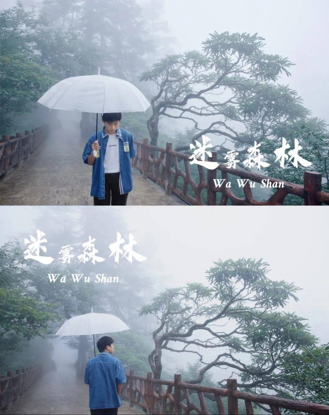 雨后|瓦屋山以另一种方式呈现出瓦屋山壮丽的景象_罗利俊_尹霜林_雾海