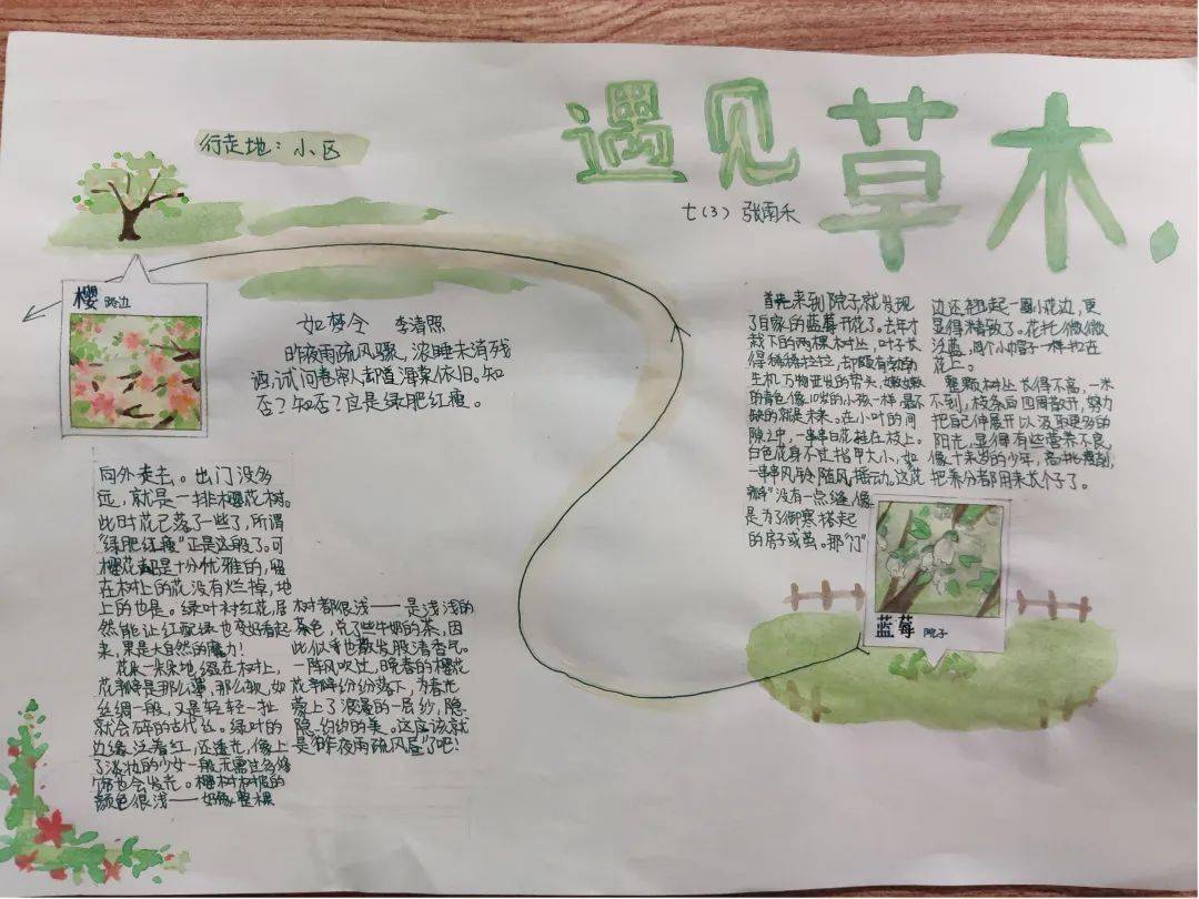 遇见"人间草木"(一)——致远初中读书节活动启动_生命_南京市_自然