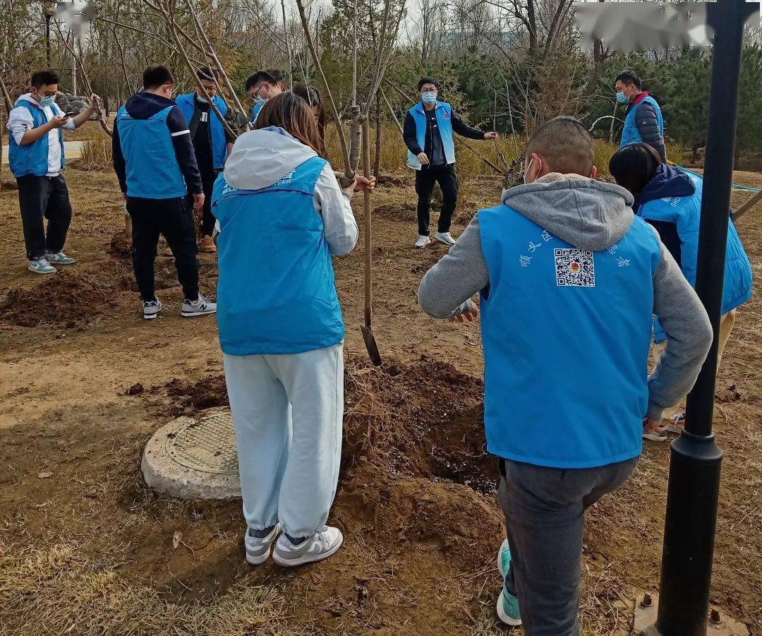 义务植树顺义区各机关事业单位积极开展义务植树尽责活动