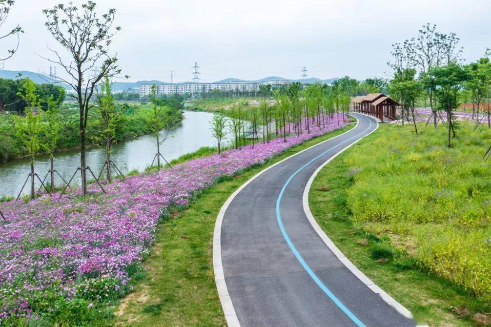 花海,上新了!_梵天_宛山_无锡