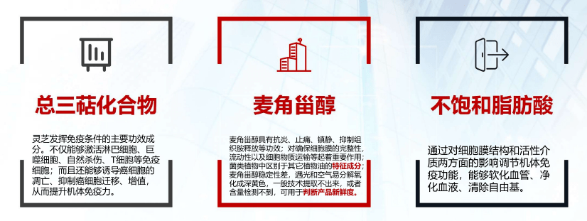 灵芝孢子油,含有的灵芝麦角淄醇,三萜类化合物,不饱和脂肪酸等成分