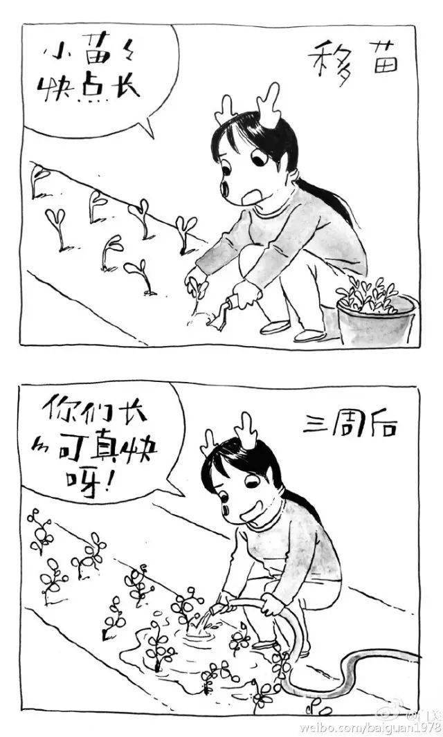 33岁剩女逃离上海爆改乡村小院种花种菜连何炅黄磊都羡慕不已
