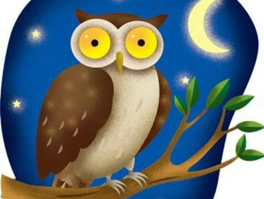 【经开五小 国旗下英语演讲】owl_猫头鹰_they're_night