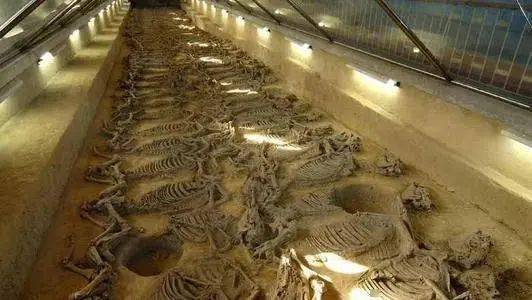 历史| 古代殉葬的妃子不愿死怎么办?_人殉_秦穆公_阖闾