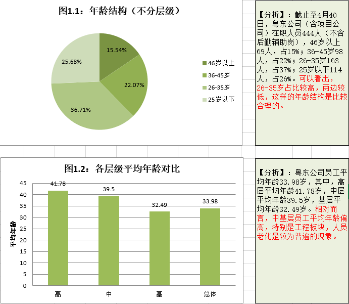 公司人员结构分析ppt