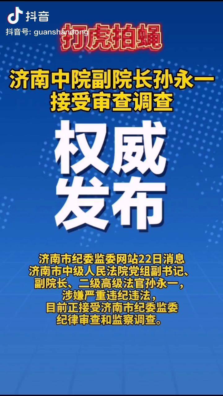 权威发布济南市中级人民法院副院长孙永一被查山东打虎拍蝇