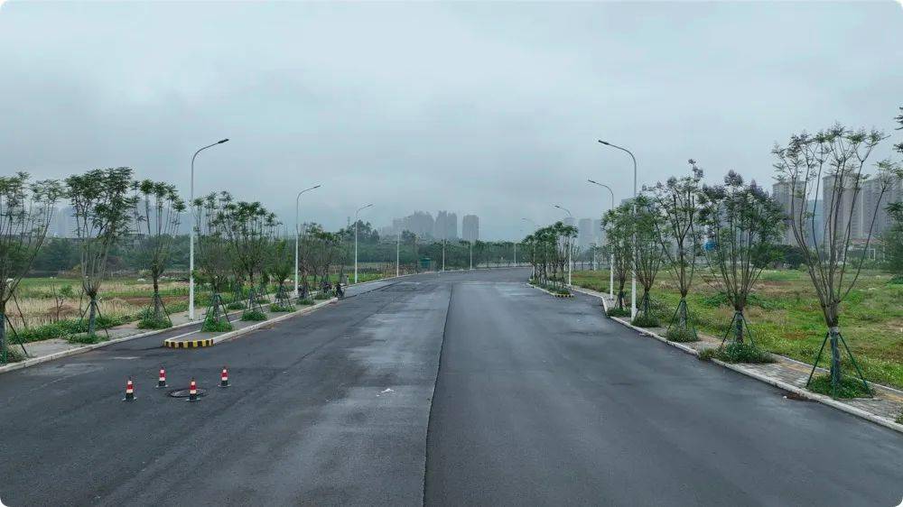 湖滨北路_道路_大道