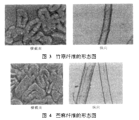 竹原纤维与苎麻纤维的性能比较_测试_长度_tex