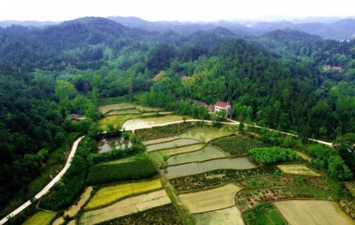 汉中市城固天明镇元水村:初夏插秧忙 田园风光媚_稻田_秧苗_大地