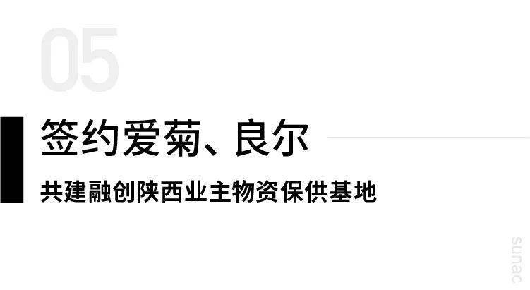 爱菊集团,良尔集团分别与融创陕西签订战略协议,成为基地共建方