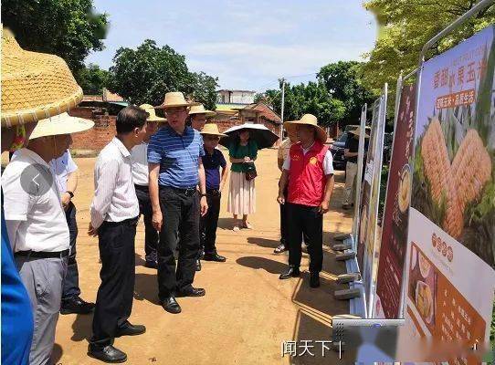 副县长黄执孔,广州市南沙区派驻迈陈镇帮扶工作队队长高华及县农业