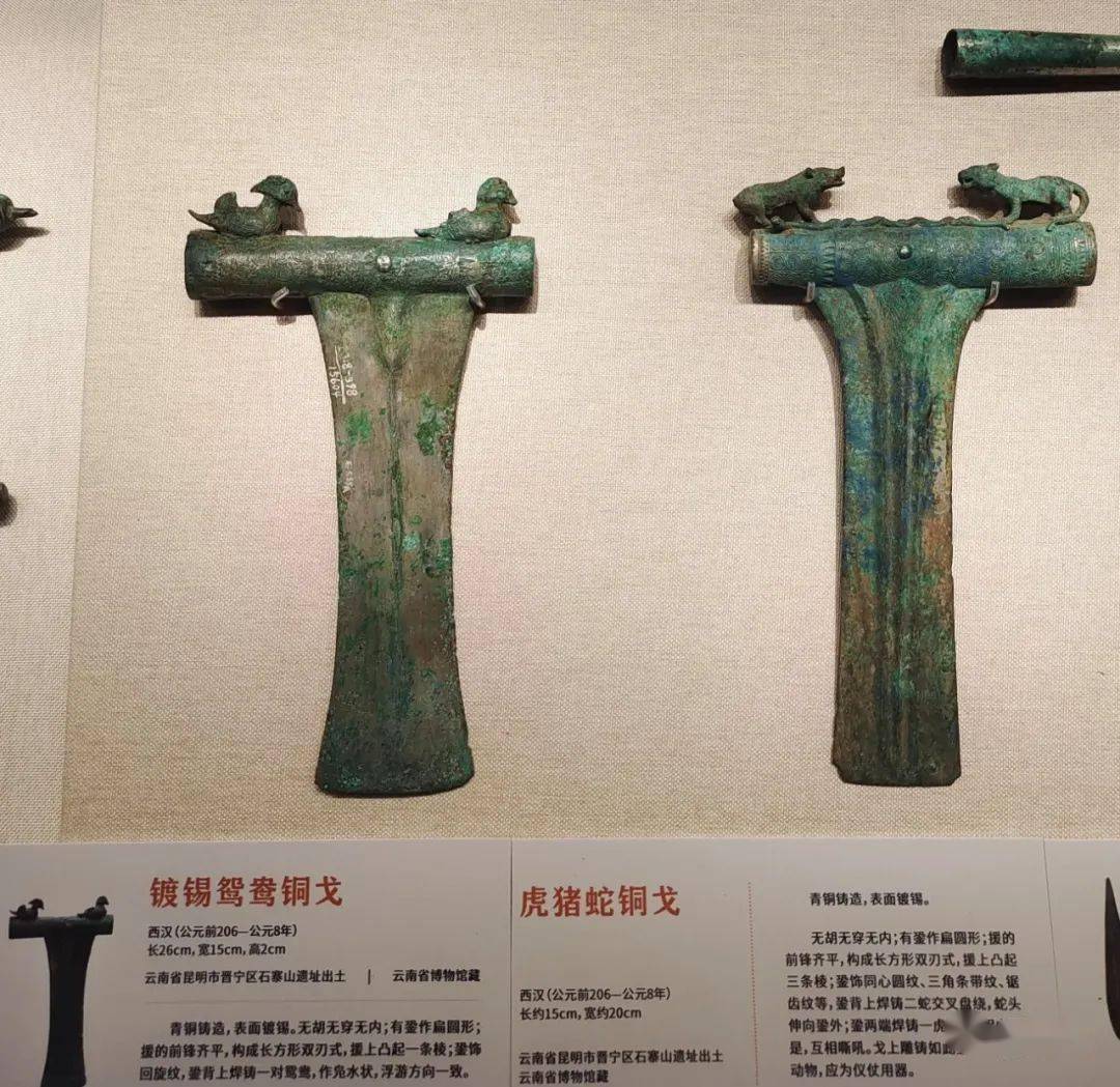 兵戈烽火:花脚大仙分享《谜踪之国—云南古滇国青铜文化展》之六