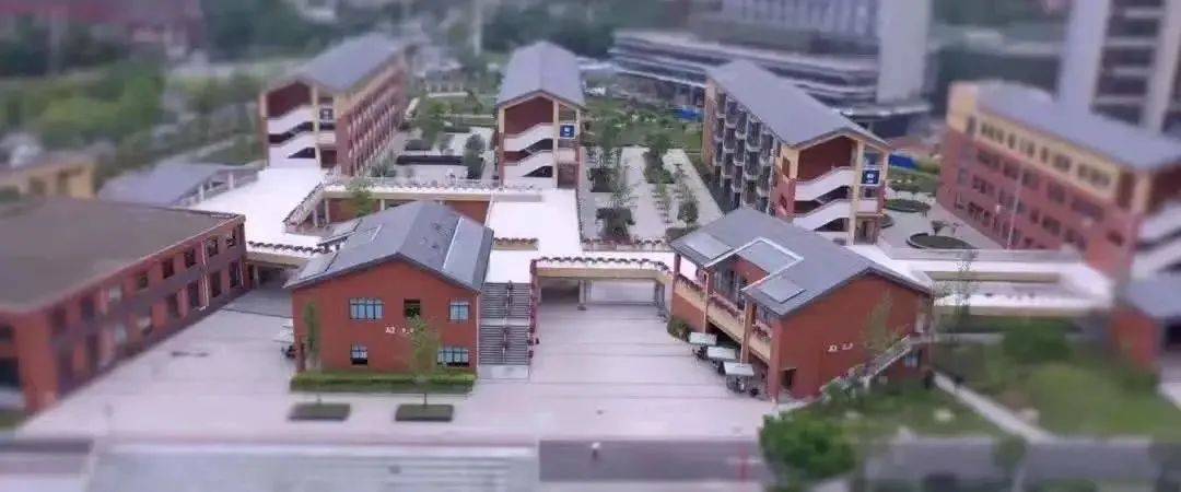 位于龙泉驿区大面板块的天鹅湖小学,到今年进入了办学的第四个年头.