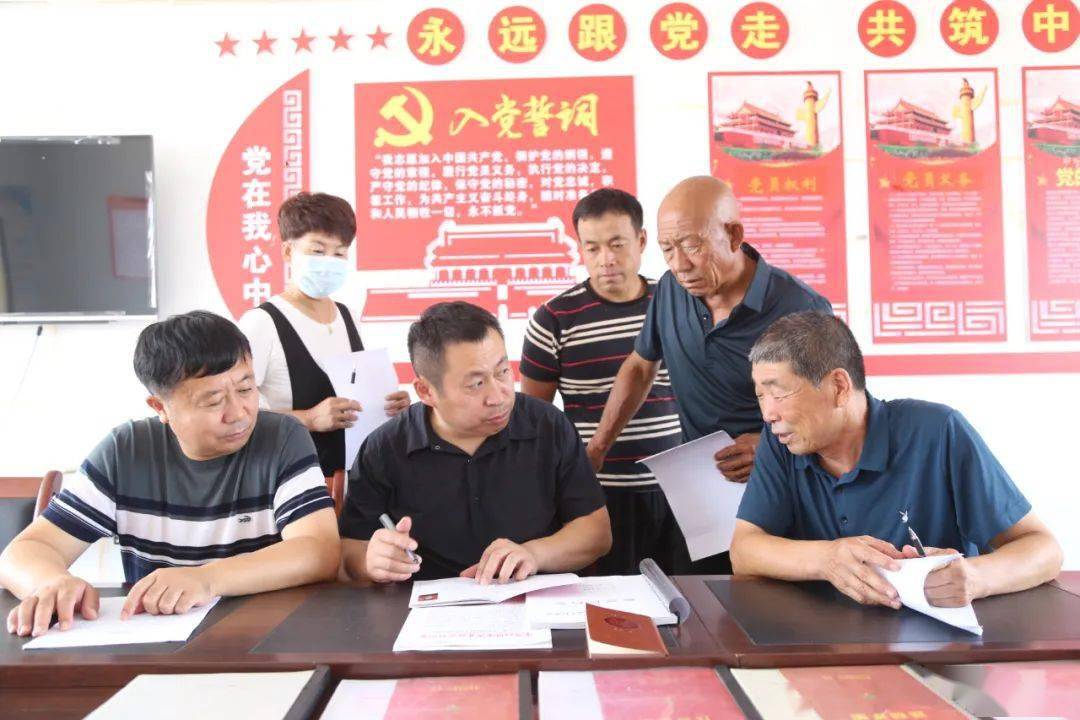 初心点亮振兴路洮北区平台镇大岭村驻村工作队纪实