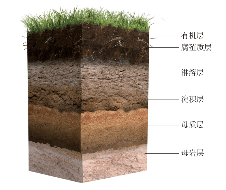 地理视角看农业土壤与农业地理附高中地理农业区位条件评价类答题思路