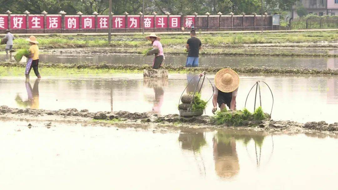 夏天的高温暑气远没有结束.