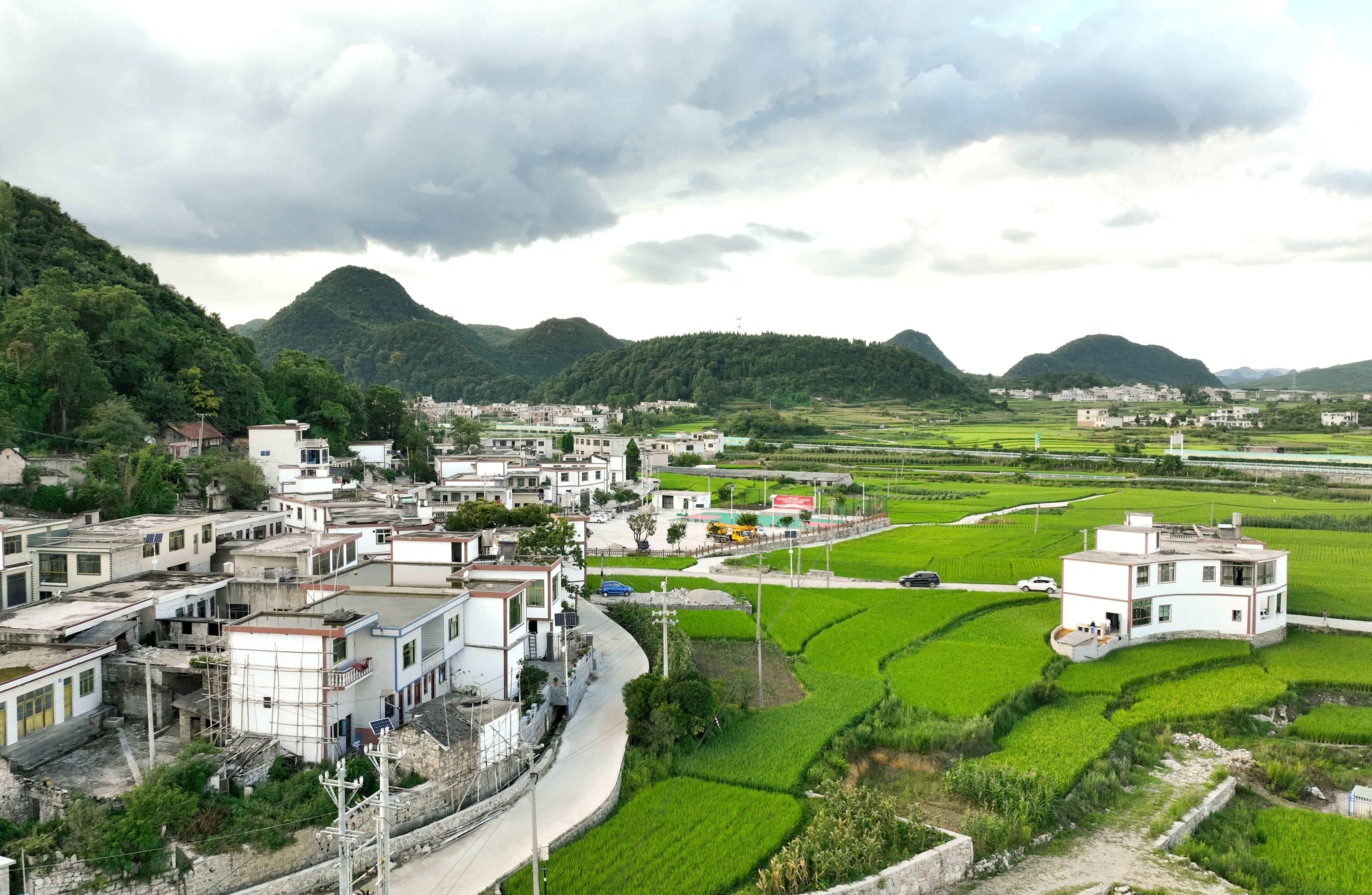 清镇市特色田园乡村·乡村振兴集成示范试点项目建设工作有序推进_鸭