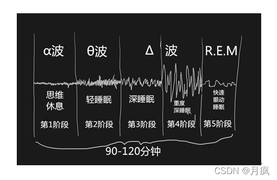 �����ֱ�����μ������˯�ߵģ�