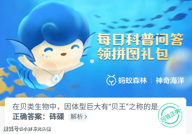 原创在贝类生物中，因体型巨大有“贝王”之称的是？蚂蚁森林神奇海洋